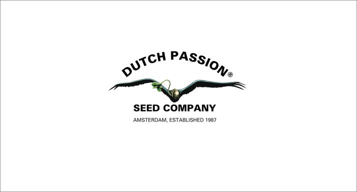 Dutch Passion